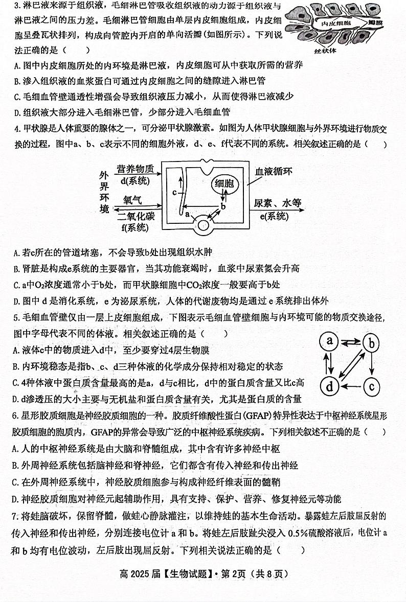 2024重庆市名校联盟高二上学期11月期中考试生物PDF版含答案02