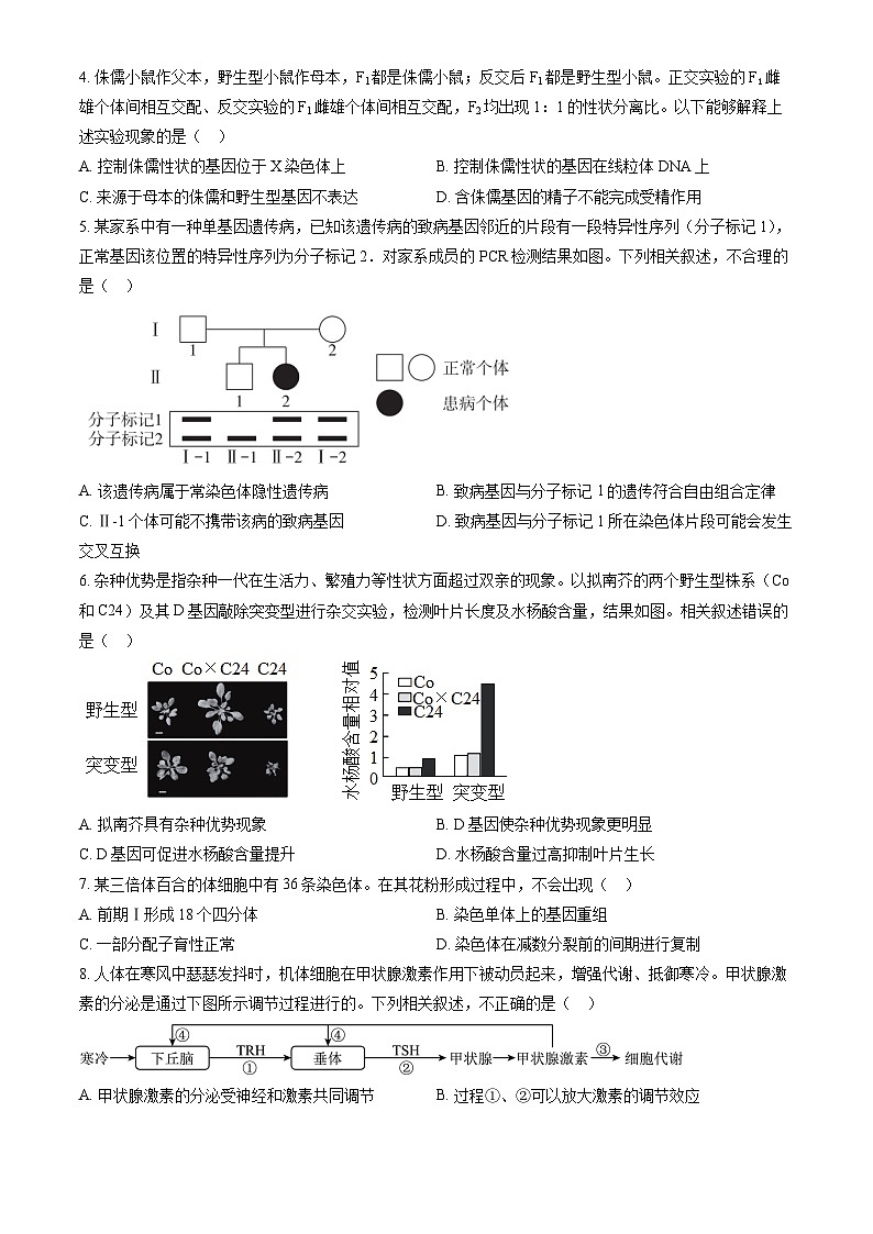 2023北京东直门中学高三10月 月考 生物02