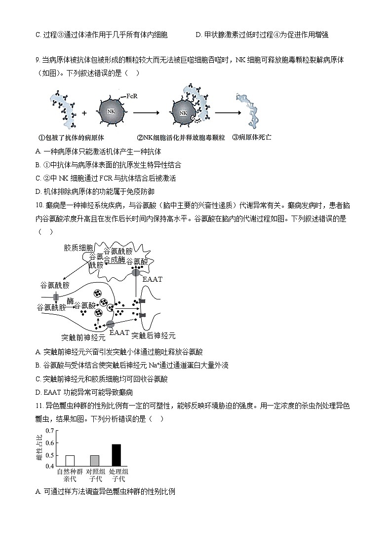2023北京东直门中学高三10月 月考 生物03
