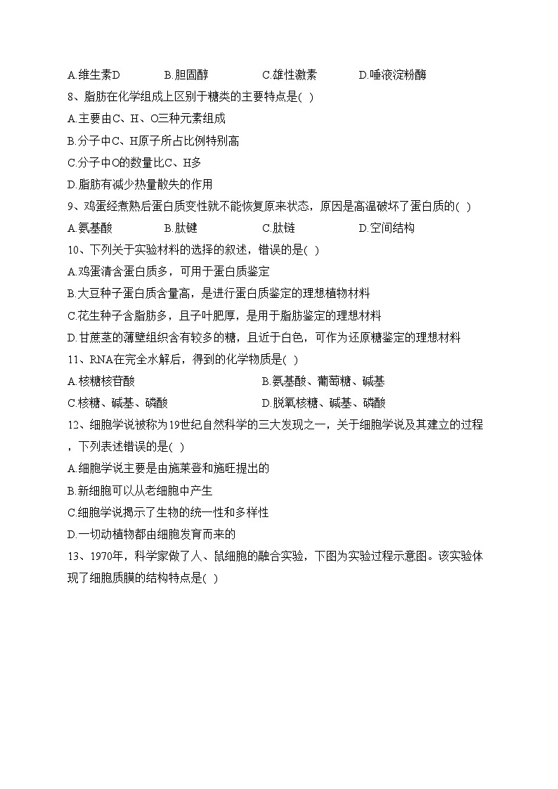 江苏省盐城市五校2023-2024学年高一上学期10月月考生物试卷(含答案)02