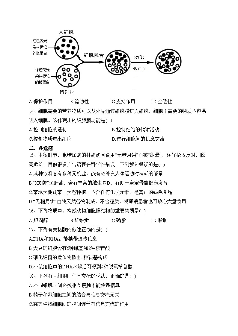 江苏省盐城市五校2023-2024学年高一上学期10月月考生物试卷(含答案)03