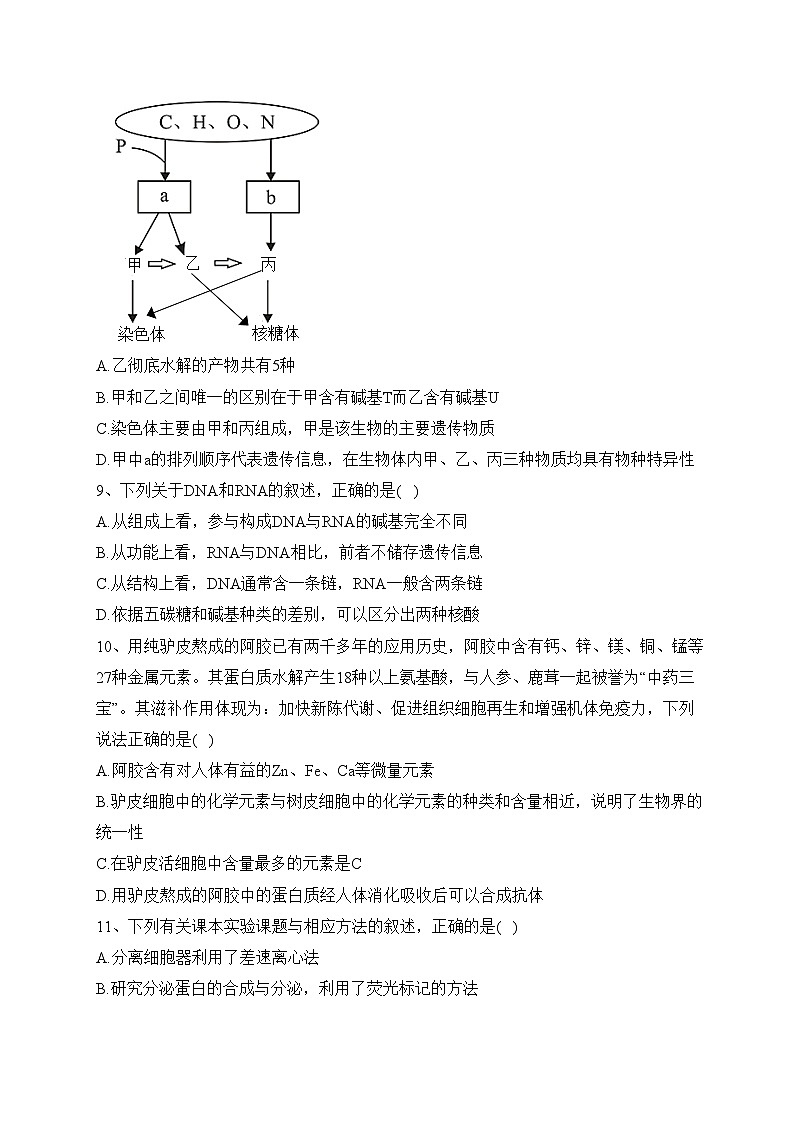 攸县第四中学2022-2023学年高一上学期期中考试生物试卷(含答案)第3页