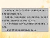新教材适用2023_2024学年高中生物第1章种群及其动态第2节种群数量的变化课件新人教版选择性必修2