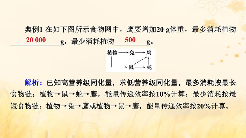 新教材适用2023_2024学年高中生物第3章生态系统及其稳定性微专题食物链网中生物数量及能量流动的相关计算课件新人教版选择性必修204