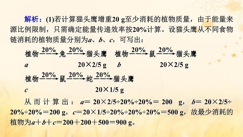 新教材适用2023_2024学年高中生物第3章生态系统及其稳定性微专题食物链网中生物数量及能量流动的相关计算课件新人教版选择性必修207