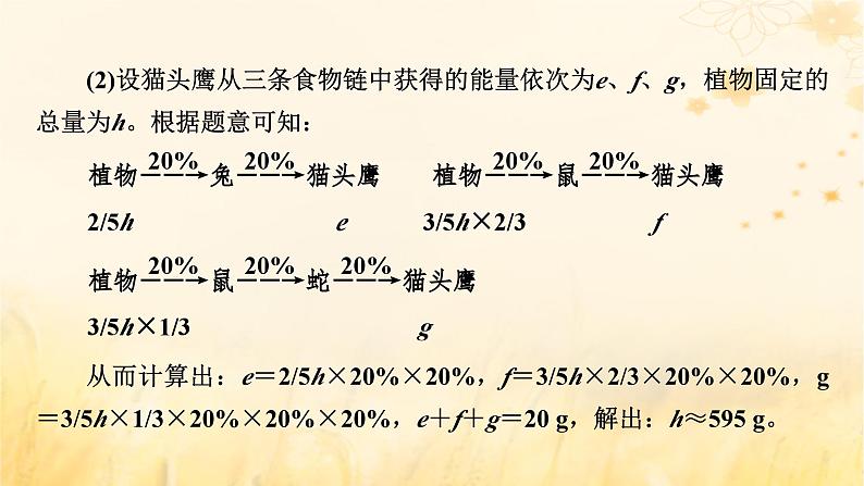 新教材适用2023_2024学年高中生物第3章生态系统及其稳定性微专题食物链网中生物数量及能量流动的相关计算课件新人教版选择性必修208