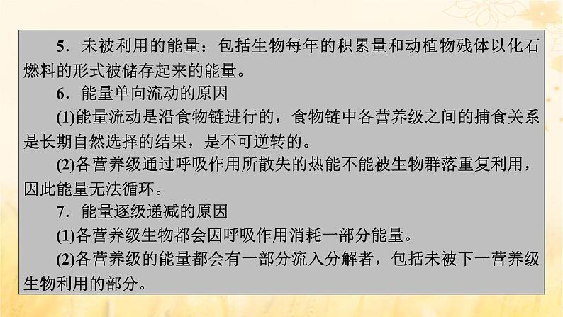 新教材适用2023_2024学年高中生物第3章生态系统及其稳定性第2节生态系统的能量流动课件新人教版选择性必修205