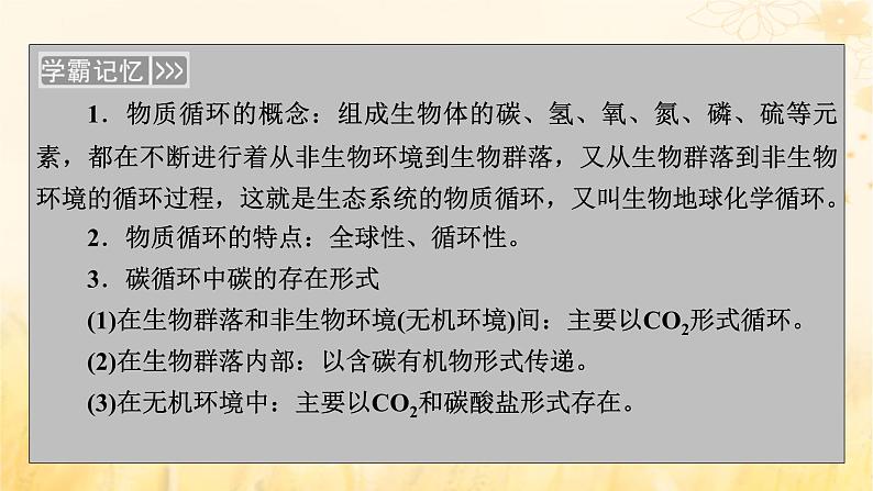 新教材适用2023_2024学年高中生物第3章生态系统及其稳定性第3节生态系统的物质循环课件新人教版选择性必修204