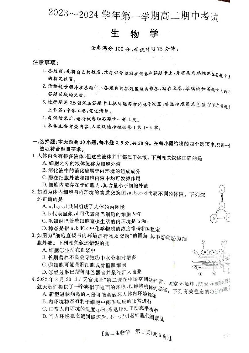 甘肃省武威市天祝一中、民勤一中、古浪一中等四校联考2023-2024学年高二上学期11月期中生物试题01