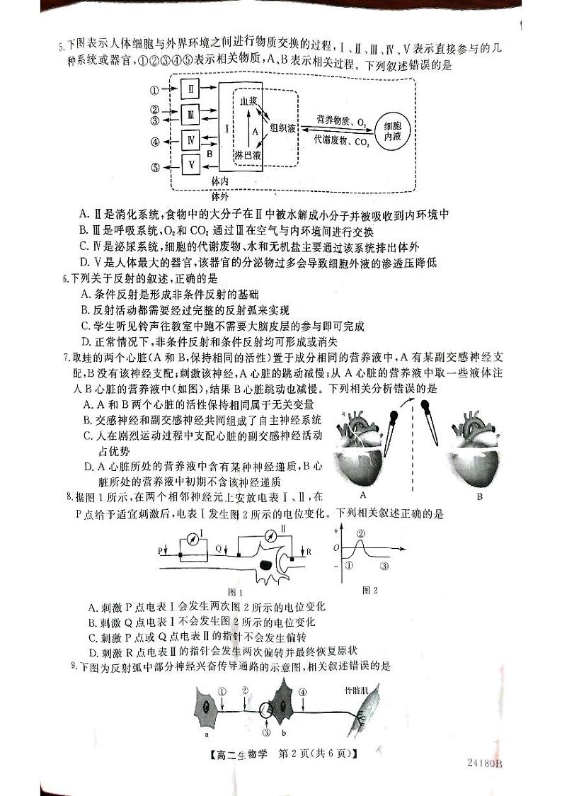 甘肃省武威市天祝一中、民勤一中、古浪一中等四校联考2023-2024学年高二上学期11月期中生物试题02