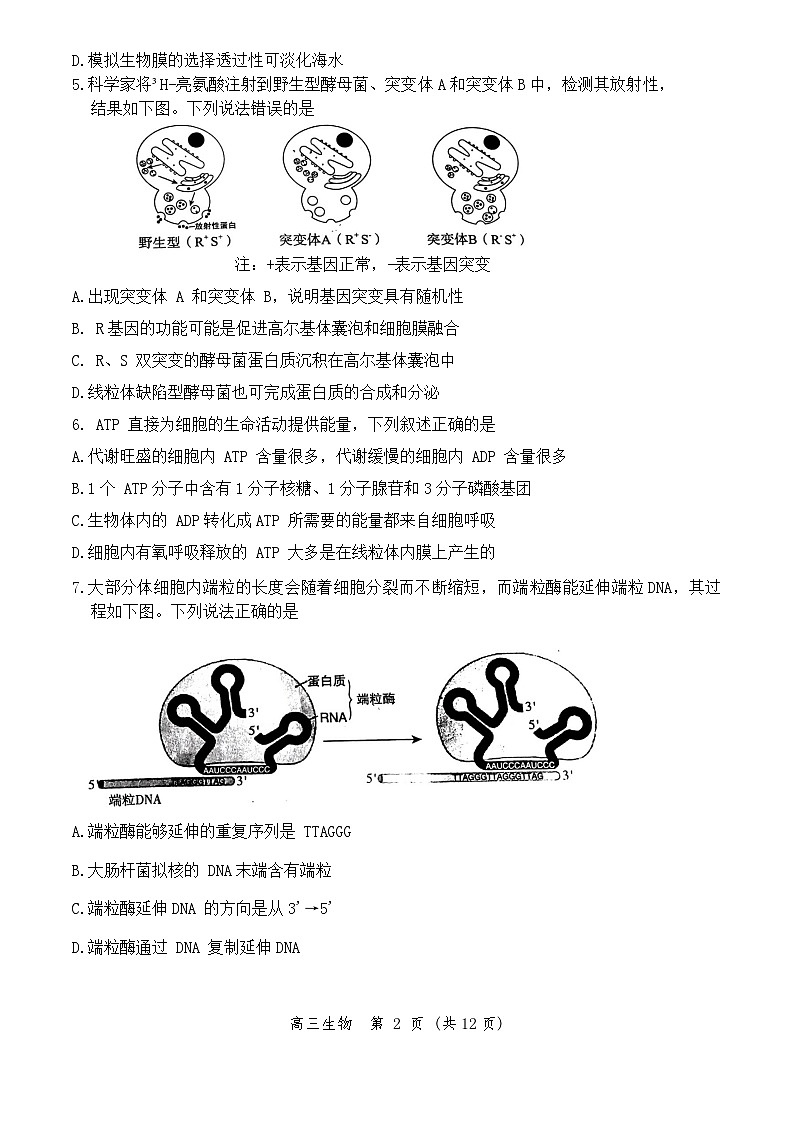 北京市丰台区2023-2024学年高三上学期11月期中生物试题02