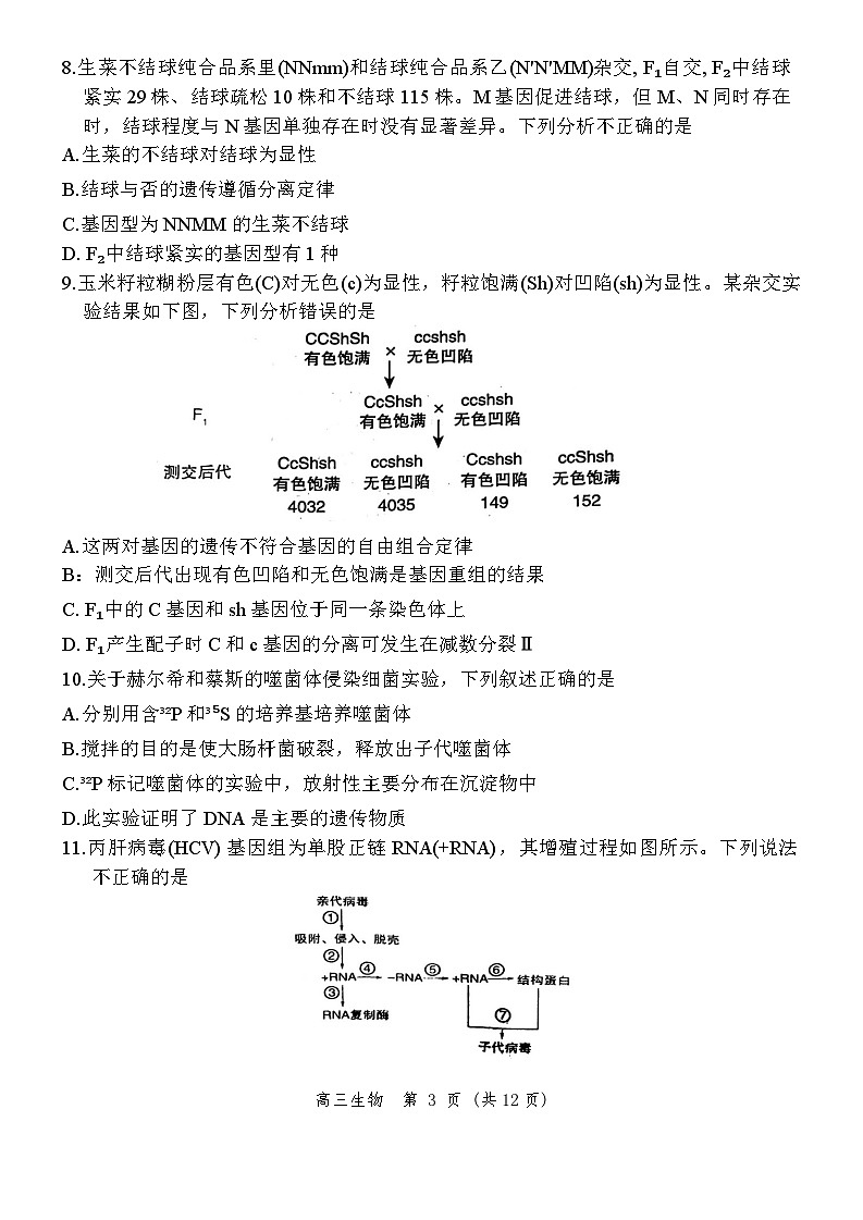北京市丰台区2023-2024学年高三上学期11月期中生物试题03