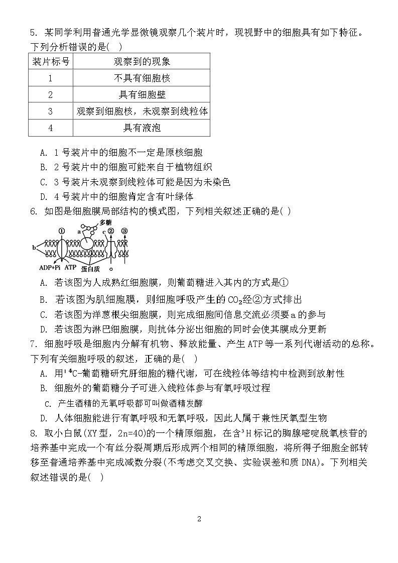 江苏省南通市2023-2024学年高三上学期期中考试考前模拟生物试题第2页