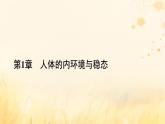 新教材适用2023_2024学年高中生物第1章人体的内环境与稳态本章整合课件新人教版选择性必修1
