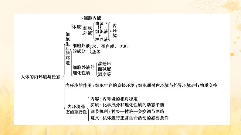 新教材适用2023_2024学年高中生物第1章人体的内环境与稳态本章整合课件新人教版选择性必修105