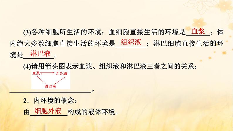 新教材适用2023_2024学年高中生物第1章人体的内环境与稳态第1节细胞生活的环境课件新人教版选择性必修108