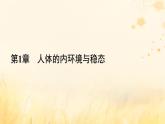 新教材适用2023_2024学年高中生物第1章人体的内环境与稳态第2节内环境的稳态课件新人教版选择性必修1