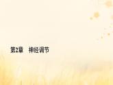 新教材适用2023_2024学年高中生物第2章神经调节第1节神经调节的结构基础课件新人教版选择性必修1