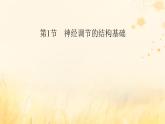 新教材适用2023_2024学年高中生物第2章神经调节第1节神经调节的结构基础课件新人教版选择性必修1