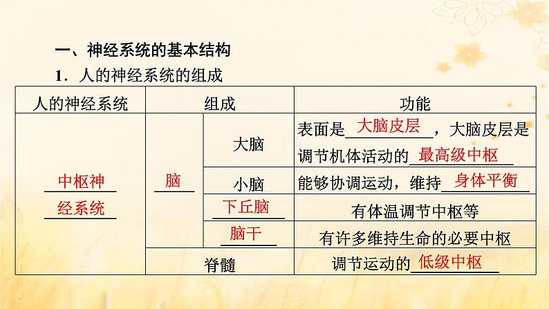 新教材适用2023_2024学年高中生物第2章神经调节第1节神经调节的结构基础课件新人教版选择性必修106