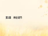 新教材适用2023_2024学年高中生物第2章神经调节第3节神经冲动的产生和传导课件新人教版选择性必修1