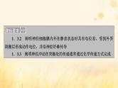 新教材适用2023_2024学年高中生物第2章神经调节第3节神经冲动的产生和传导课件新人教版选择性必修1