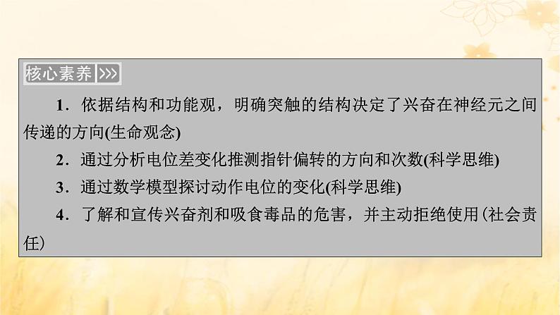 新教材适用2023_2024学年高中生物第2章神经调节第3节神经冲动的产生和传导课件新人教版选择性必修104