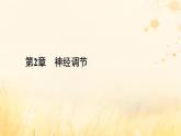 新教材适用2023_2024学年高中生物第2章神经调节第4节神经系统的分级调节第5节人脑的高级功能课件新人教版选择性必修1