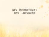 新教材适用2023_2024学年高中生物第2章神经调节第4节神经系统的分级调节第5节人脑的高级功能课件新人教版选择性必修1