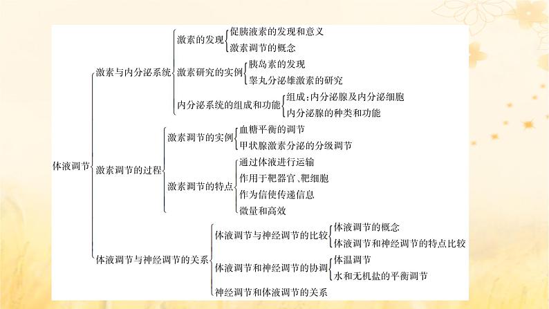 新教材适用2023_2024学年高中生物第3章体液调节本章整合课件新人教版选择性必修105