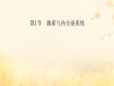 新教材适用2023_2024学年高中生物第3章体液调节第1节激素与内分泌系统课件新人教版选择性必修1