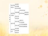 新教材適用2023_2024學年高中生物第4章免疫調節(jié)本章整合課件新人教版選擇性必修1