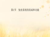 新教材适用2023_2024学年高中生物第4章免疫调节第1节免疫系统的组成和功能课件新人教版选择性必修1