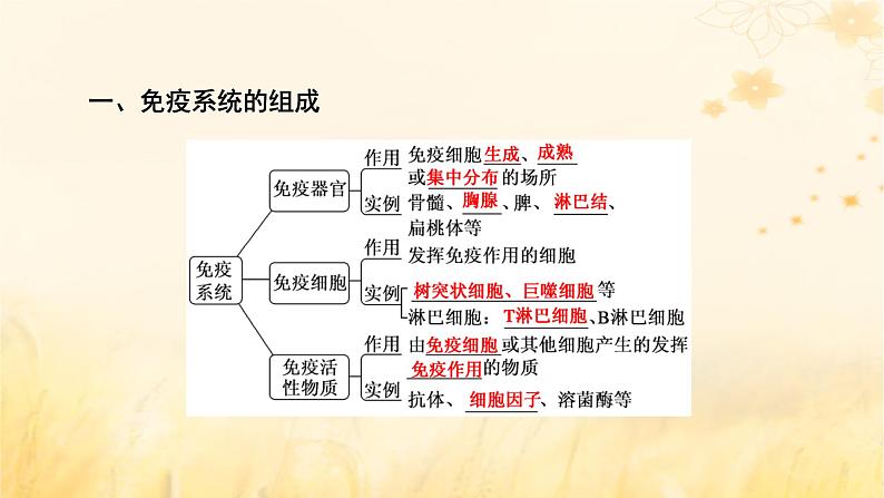 新教材适用2023_2024学年高中生物第4章免疫调节第1节免疫系统的组成和功能课件新人教版选择性必修1第7页