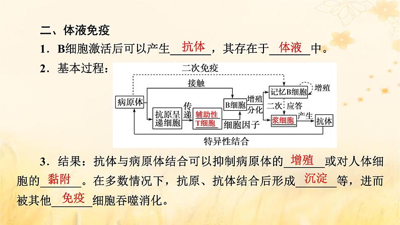 新教材适用2023_2024学年高中生物第4章免疫调节第2节特异性免疫课件新人教版选择性必修108