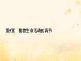 新教材适用2023_2024学年高中生物第5章植物生命活动的调节第1节植物生长素课件新人教版选择性必修1