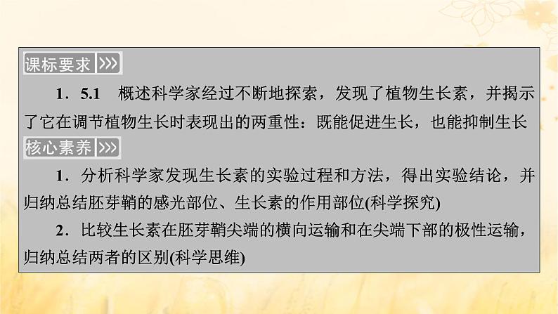 新教材适用2023_2024学年高中生物第5章植物生命活动的调节第1节植物生长素课件新人教版选择性必修103