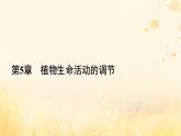 新教材适用2023_2024学年高中生物第5章植物生命活动的调节第2节其他植物激素课件新人教版选择性必修1