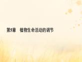 新教材适用2023_2024学年高中生物第5章植物生命活动的调节第4节环境因素参与调节植物的生命活动课件新人教版选择性必修1