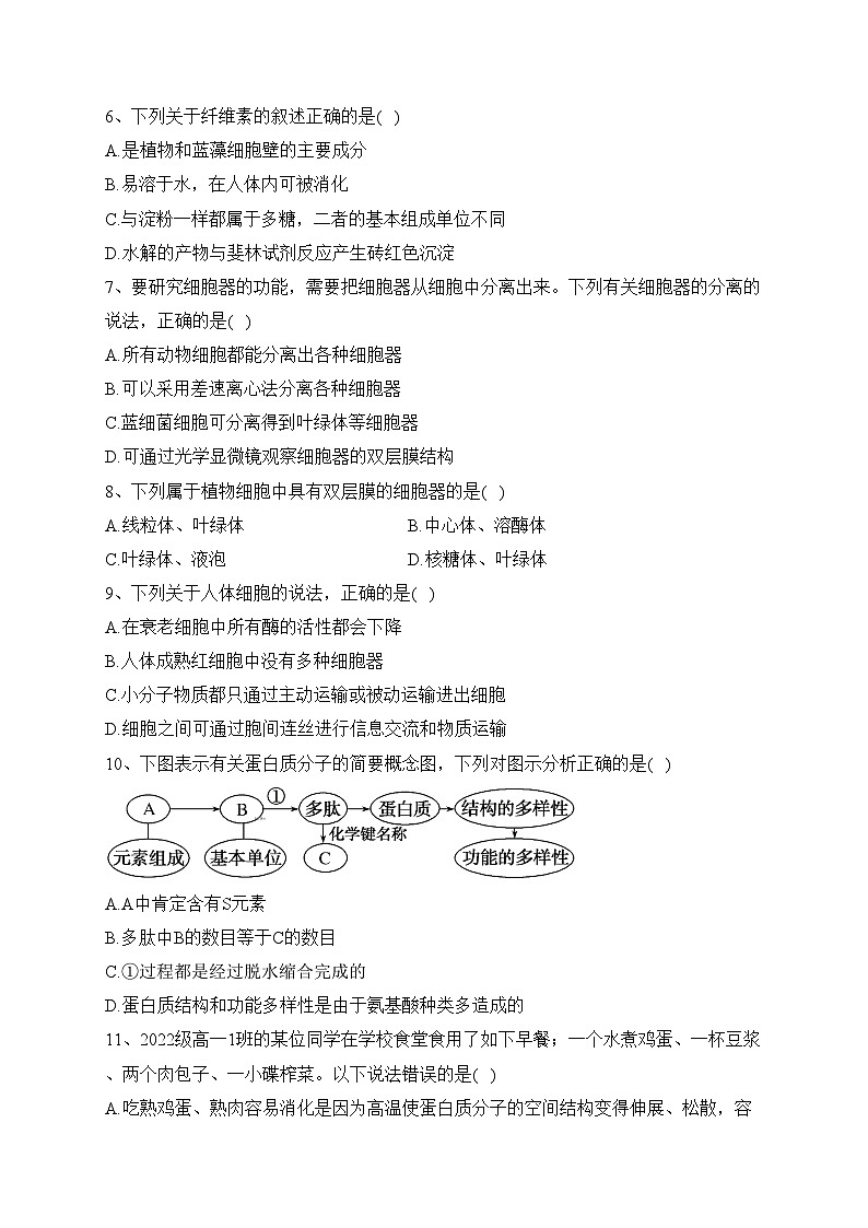 攸县第二中学2022-2023学年高一上学期期中考试生物试卷(含答案)02
