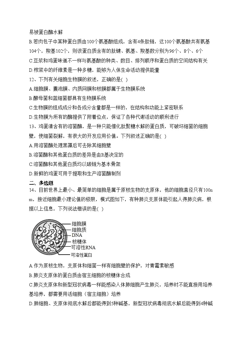 攸县第二中学2022-2023学年高一上学期期中考试生物试卷(含答案)03