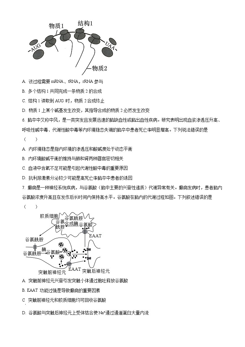 精品解析：广东省六校（东莞中学、广州二中、惠州一中、深圳实验、珠海一中、中山纪念中学）2023-2024学年高三上学期第一次联考生物试题（原卷版）第3页