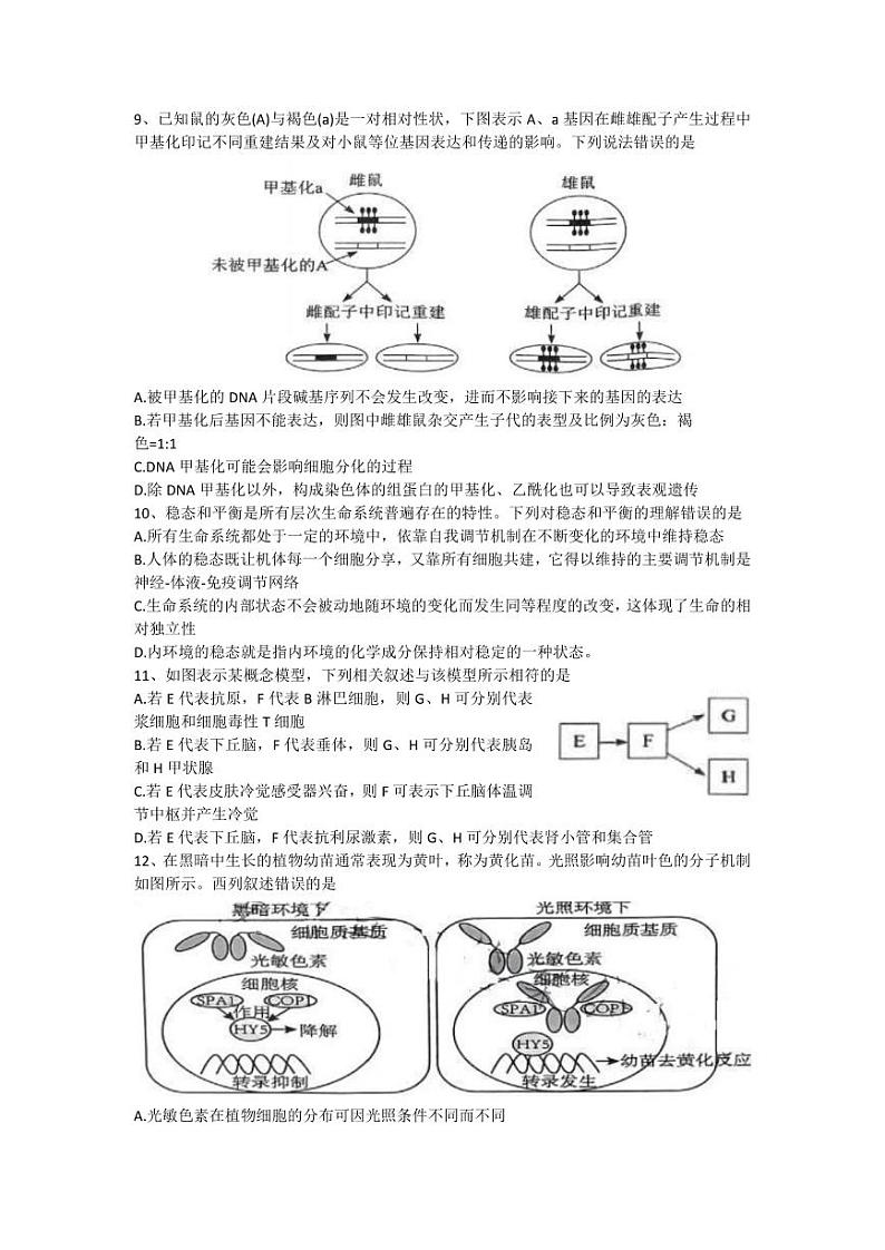 2024届湖北省腾云联盟高三上学期8月联考生物 试卷03