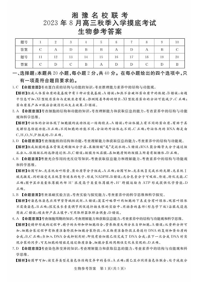 湘豫名校联考2023-2024学年高三上学期8月入学摸底考试 生物答案第1页