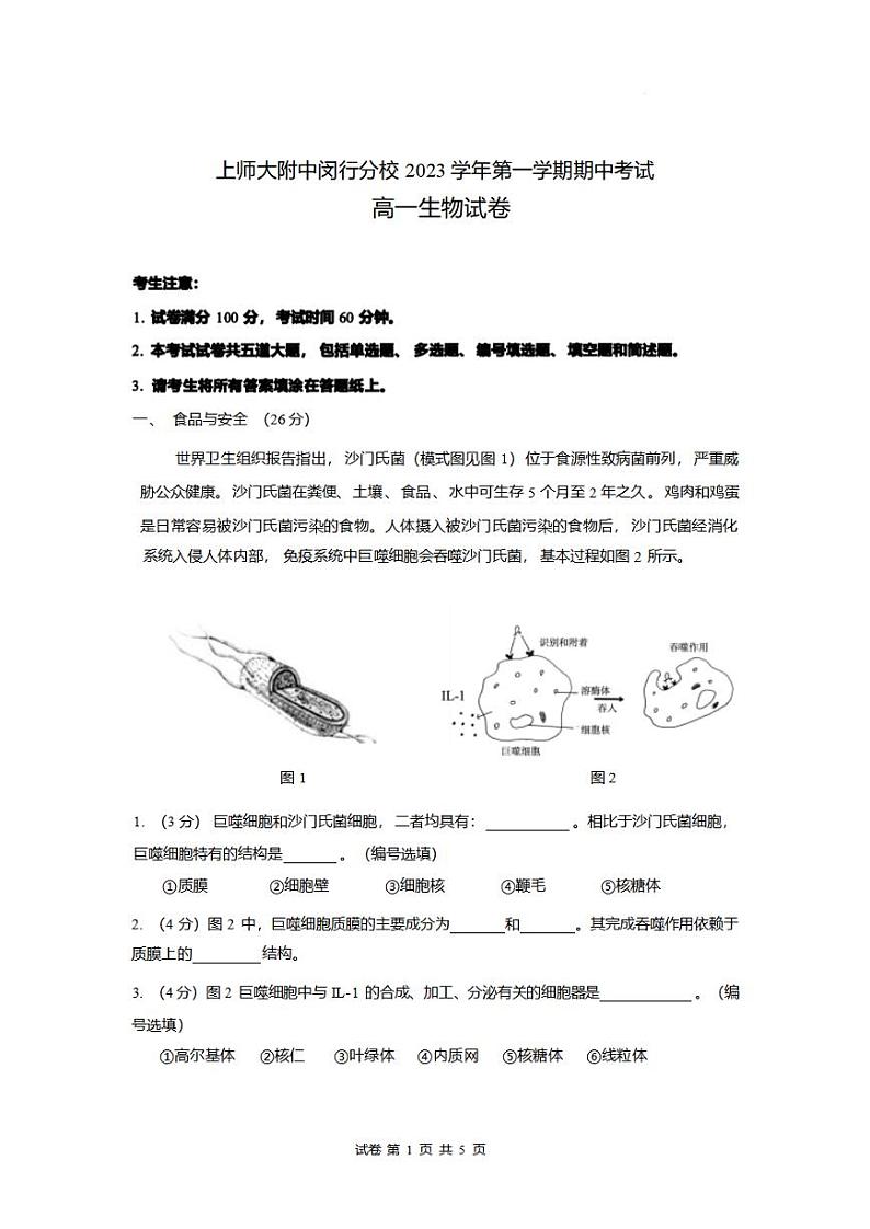 上海师范大学附属中学闵行分校2023-2024学年高一上学期期中考试生物试题第1页