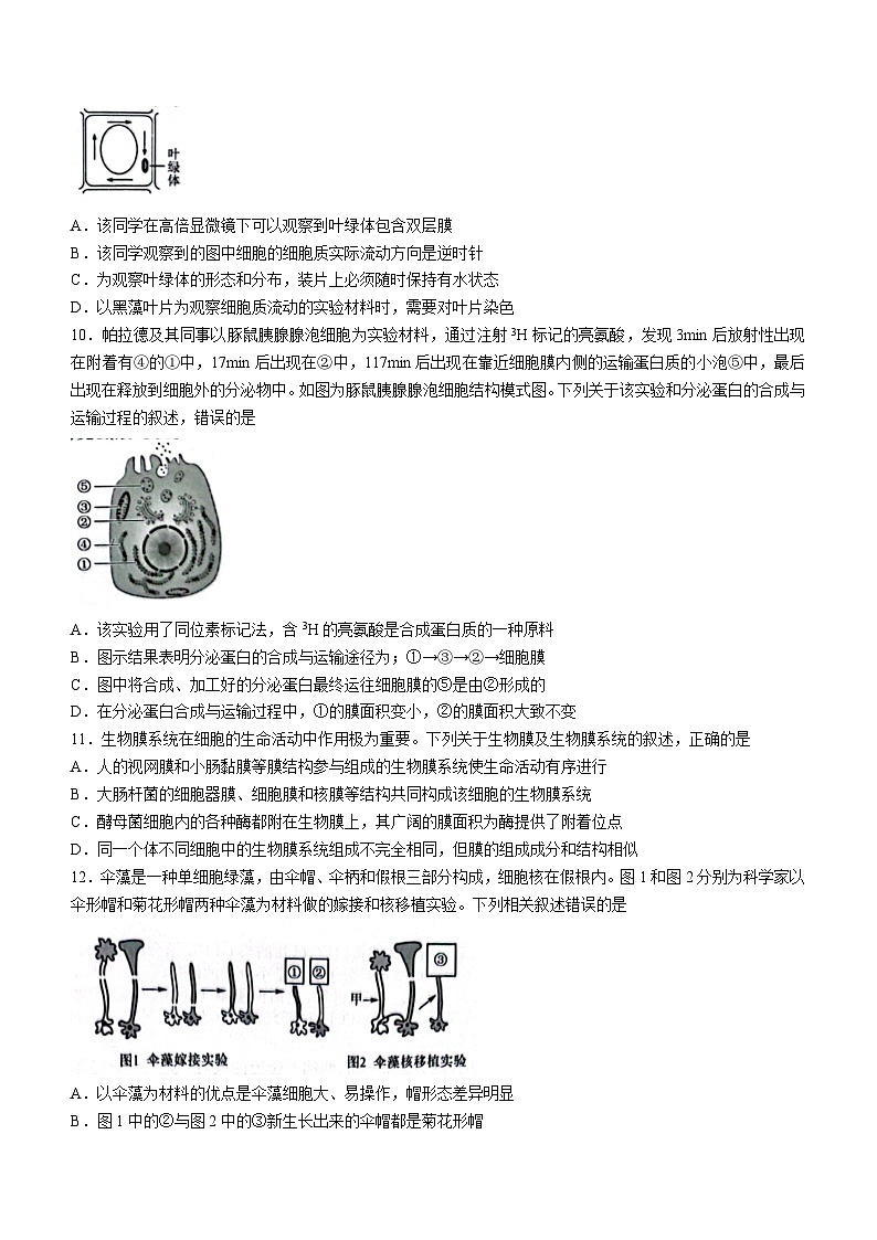 辽宁省阜新市细河区阜新市高级中学2023-2024学年高一11月期中生物试题03