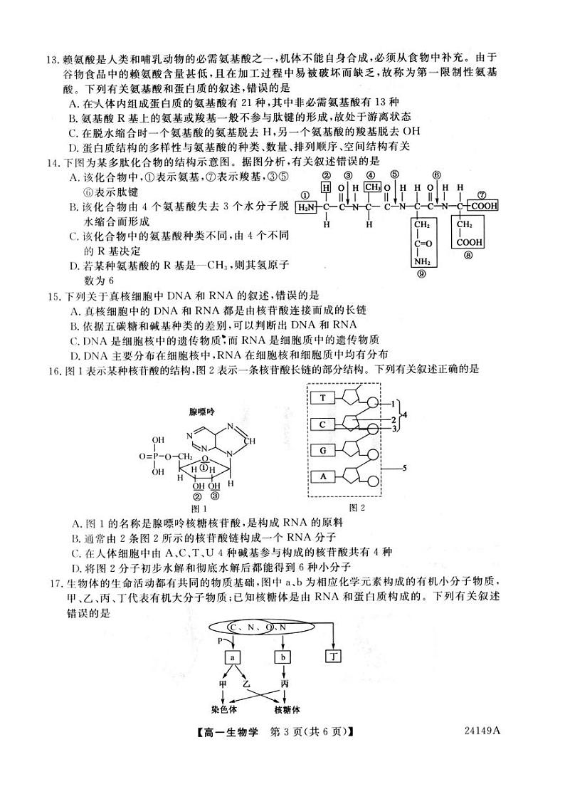黑龙江省克东县“五校联谊”2023-2024学年高一上学期期中考试生物试题第3页