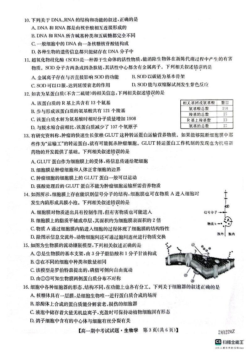 陕西省榆林市榆林市五校联考2023-2024学年高一上学期期中考试生物试题第3页