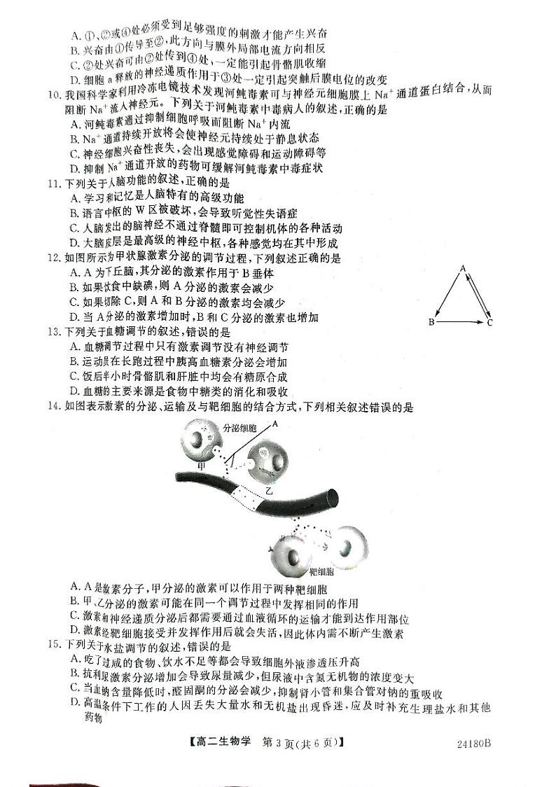 甘肃省武威市天祝一中、民勤一中、古浪一中等四校2023-2024学年高二生物上学期11月期中联考试题（PDF版附答案）03