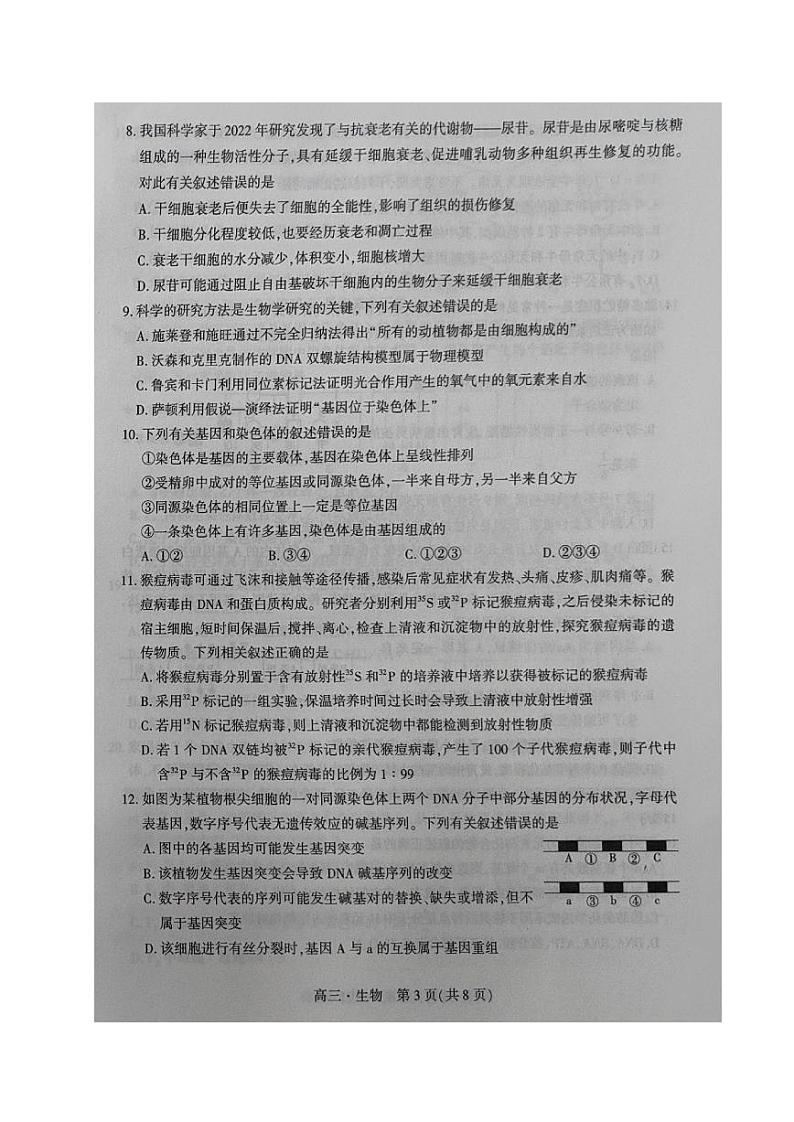 辽宁省沈阳市重点高中联合体2023-2024学年高三生物上学期期中考试试题（PDF版附答案）第3页